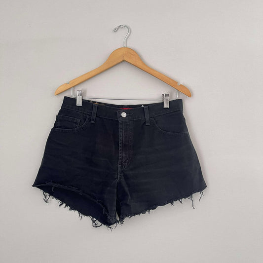 Levi’s 550 Classic Relaxed Stretch Shorts (Size 10)